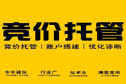 行业领先企业的sem账户托管经验分享